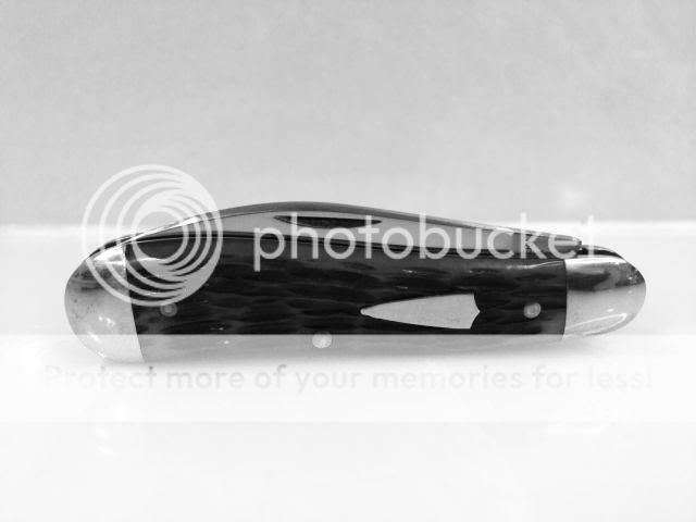 image_zps8a4301f0.jpg