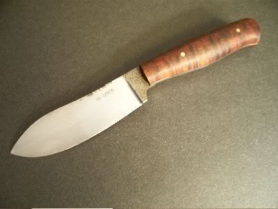 Skinner2.jpg