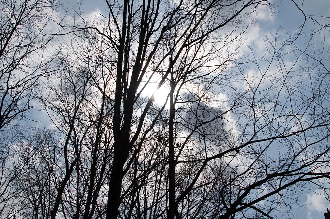 DSC_0073wa_zpswodczxxx.jpg