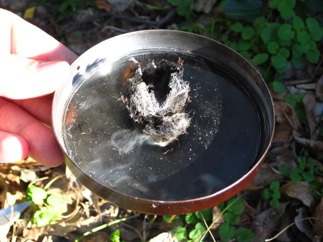 fire3.jpg