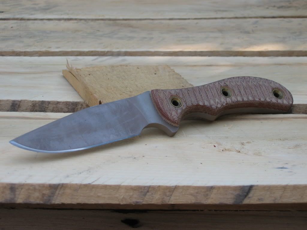 SAR307.jpg