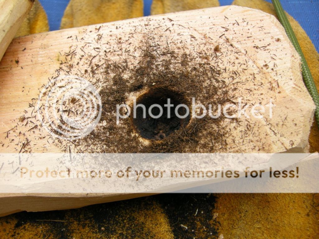 DSCN2407.jpg