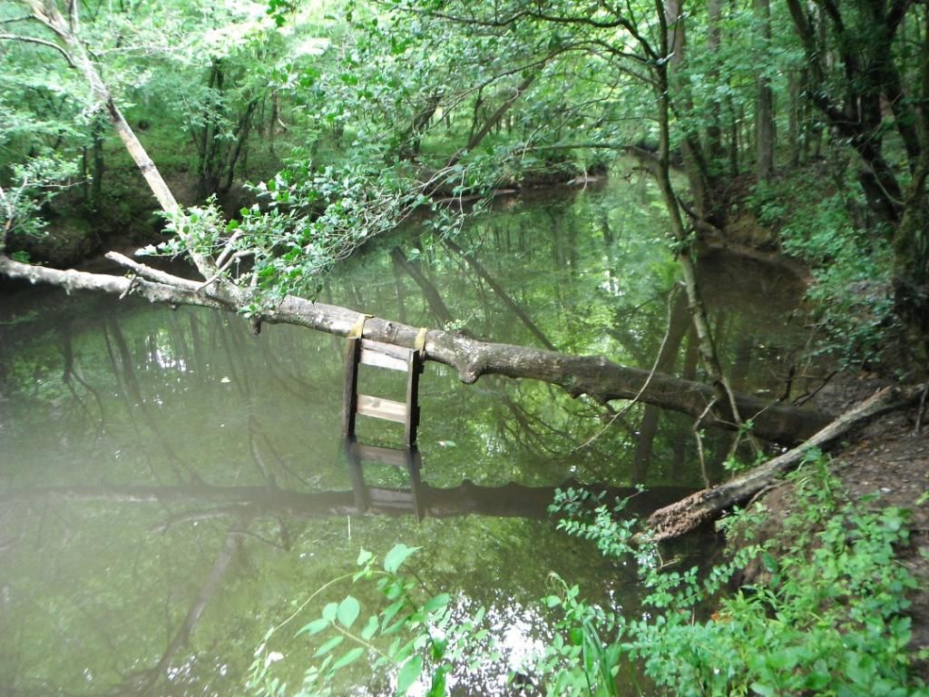 DSCF4216_zps0df6b02c.jpg
