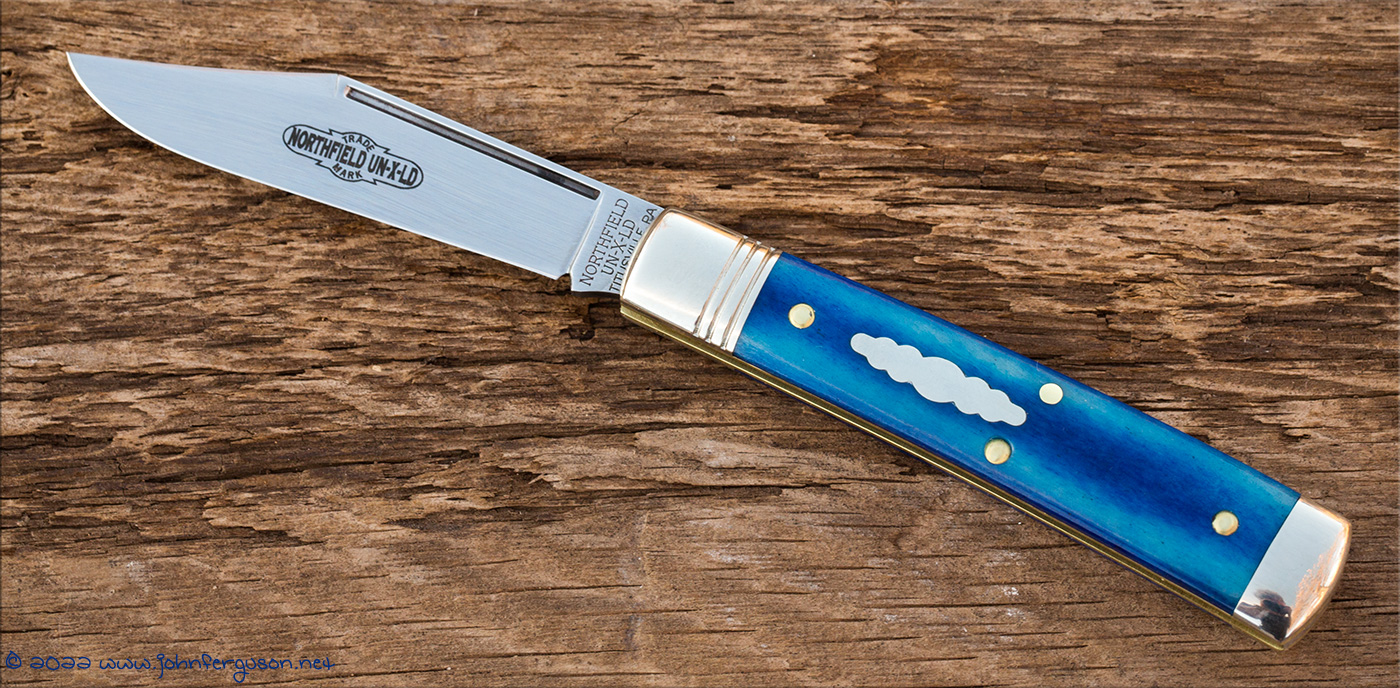GEC94bluecamel-1.jpg