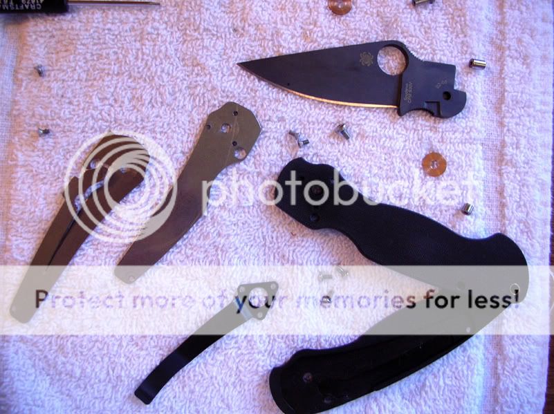 ParamilitaryDisassembly5.jpg
