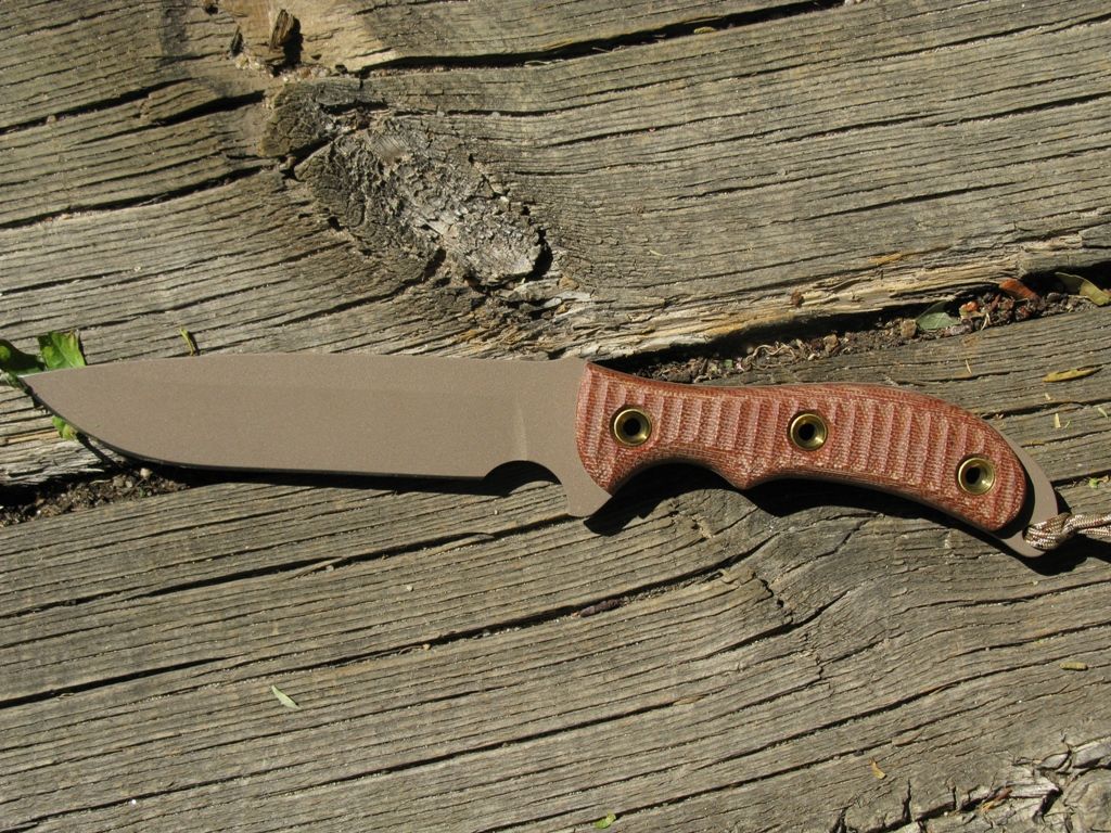Desert_Jack_1.jpg