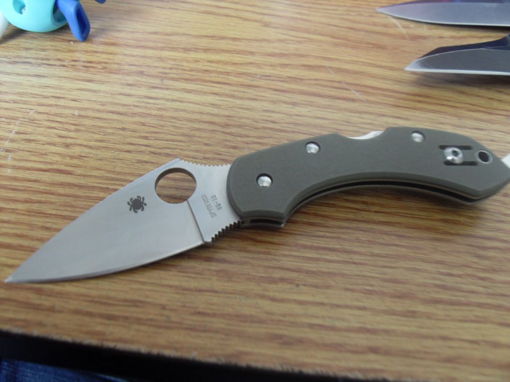 SDC11383.jpg