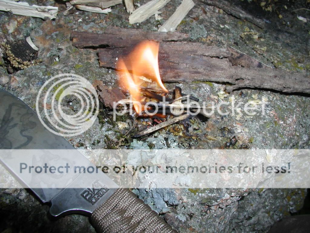 Fatwood2.jpg