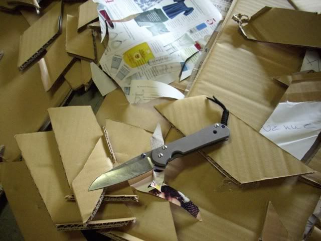 Cardboardcutting14.jpg