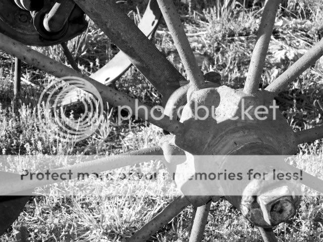 100_2110.jpg