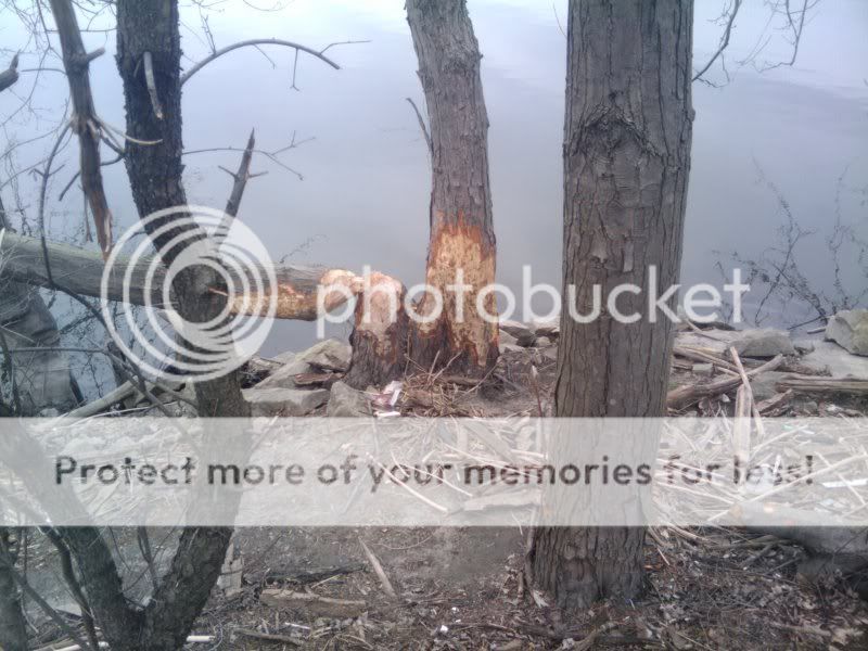 32710hike9.jpg