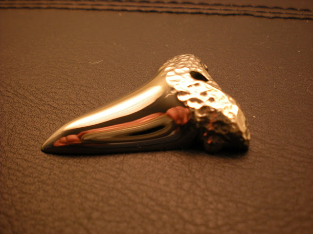 DSCN1002.JPG