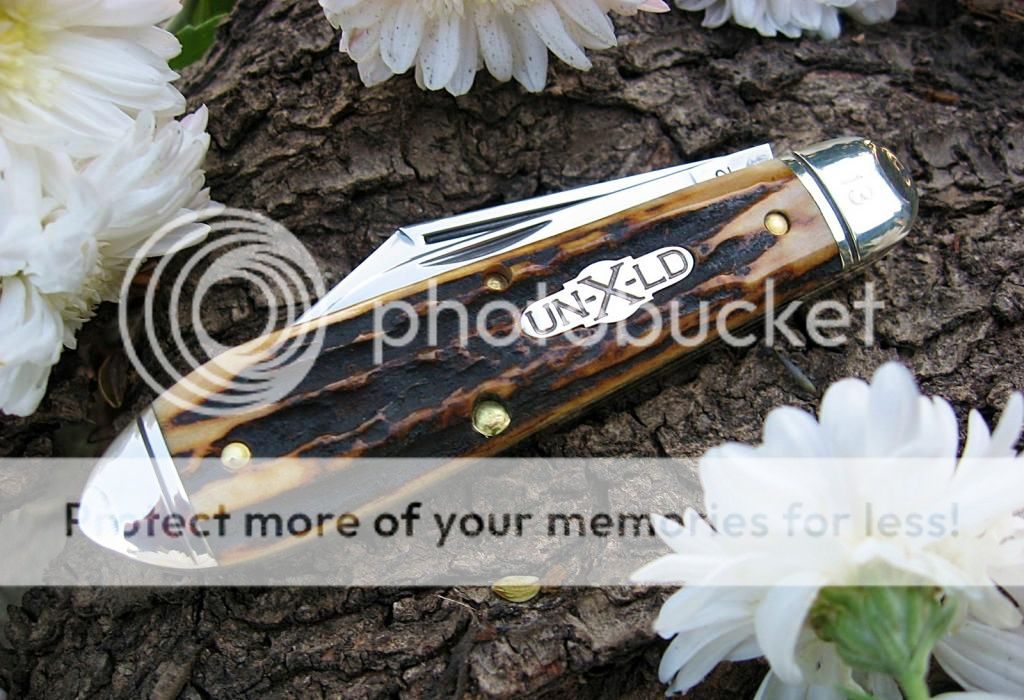 GEC85TeardropStag03.jpg