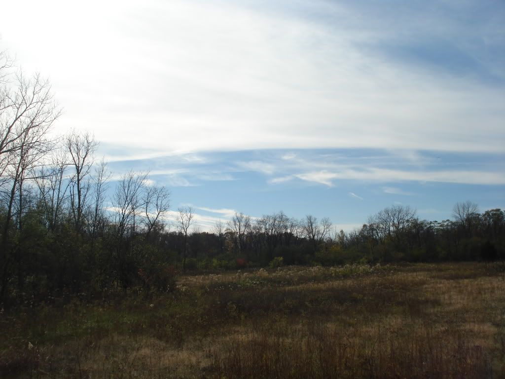 DSC03966.jpg