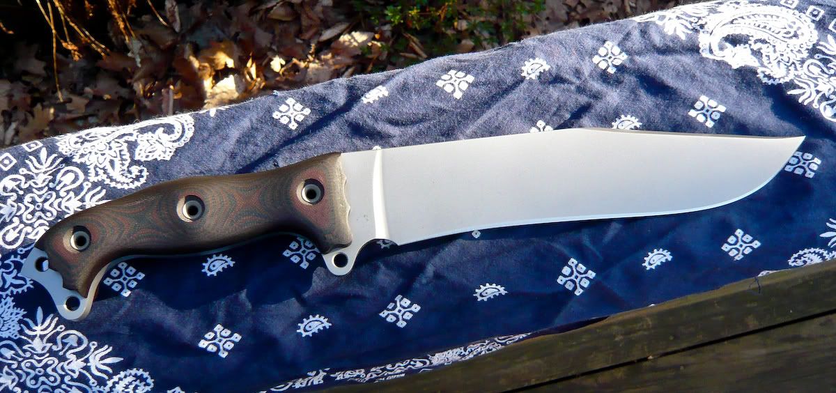 Busse_FBMBowieProto2.jpg