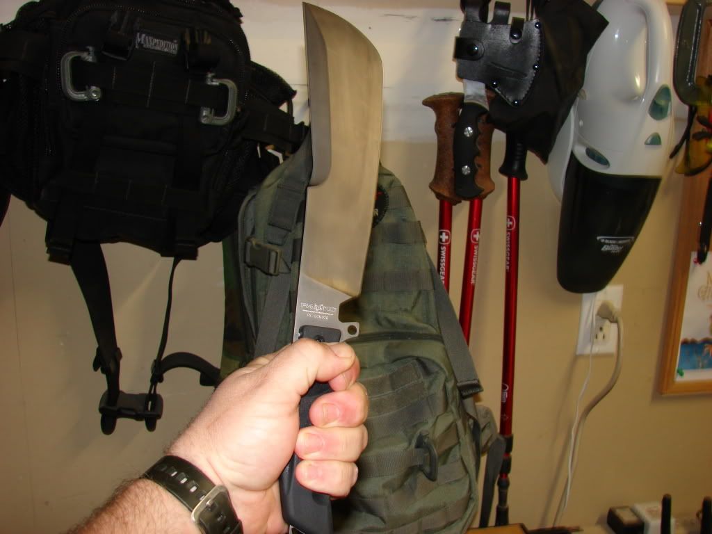 foxgolok002-1.jpg