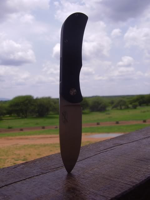 PA100015.jpg