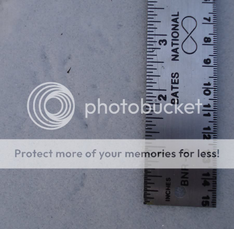 snowtrack_5.jpg