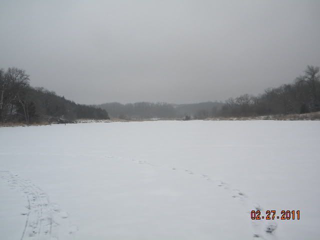 DSCN3420.jpg