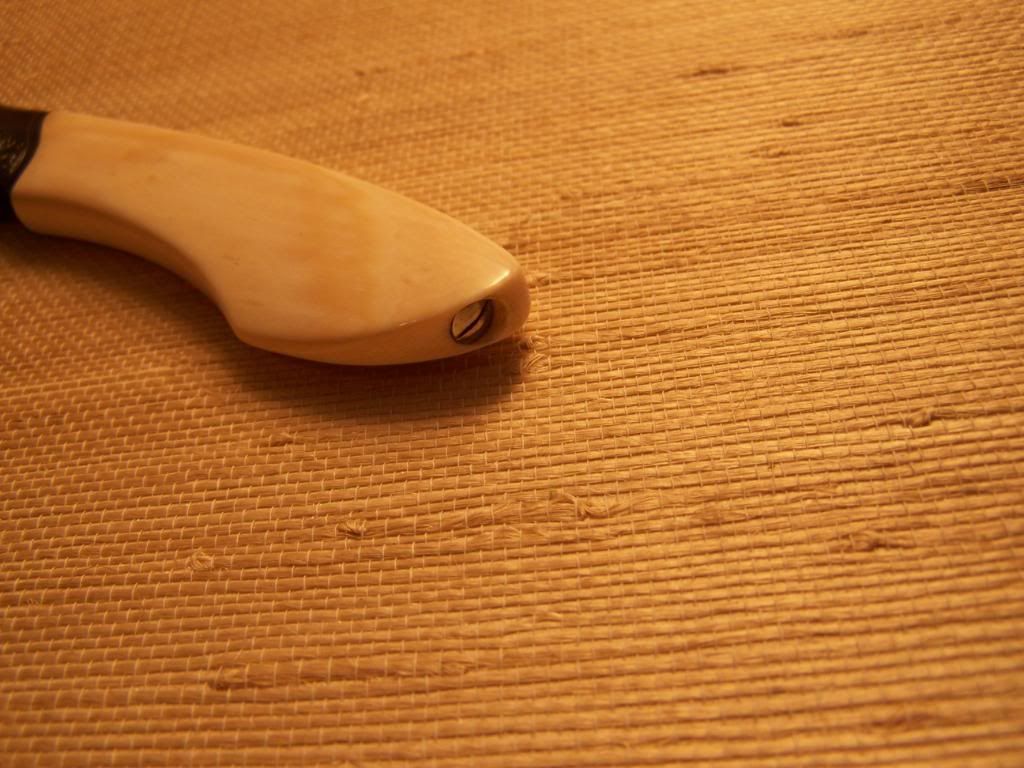 006-2.jpg