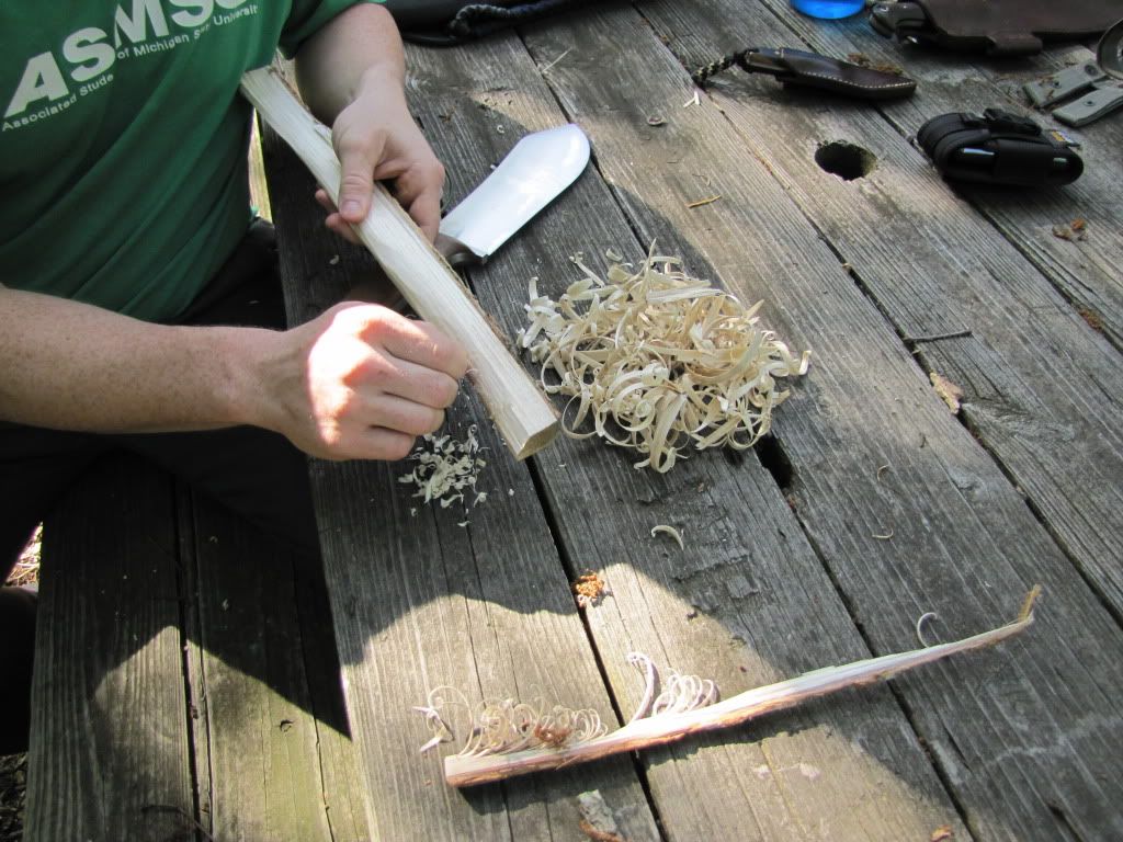 pic4.jpg