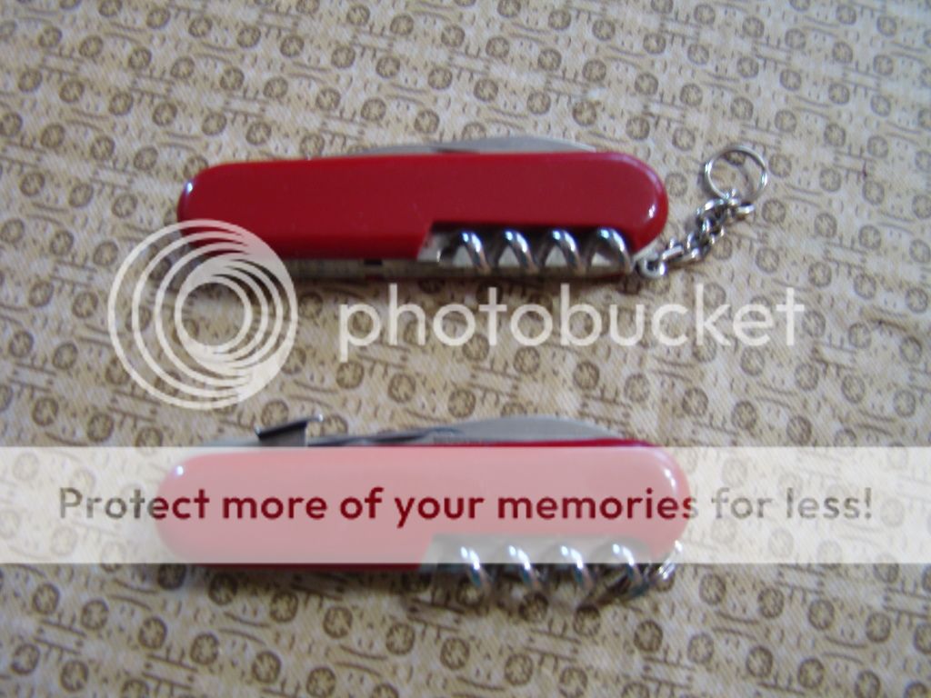 DSC01460.jpg