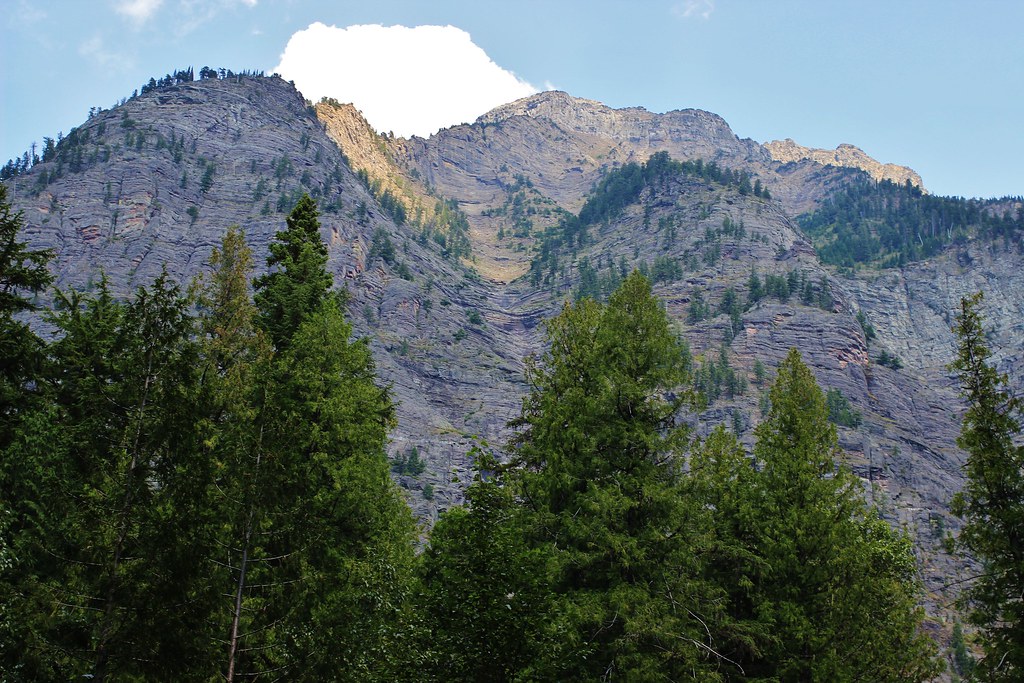 9557175000_333f0853d3_b.jpg