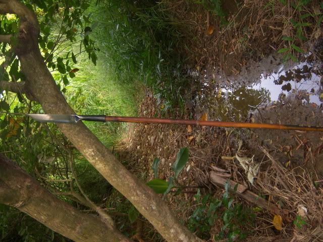 100_0596.jpg