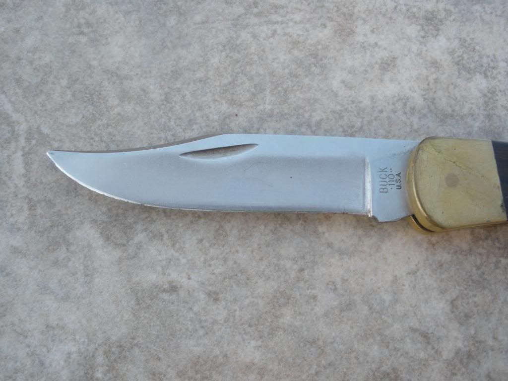 PB221146.jpg