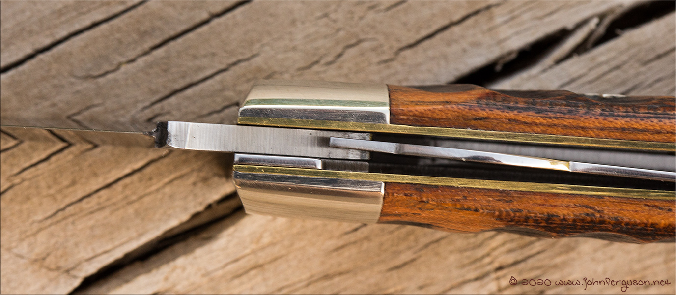 GEC23beaverLL-3.jpg