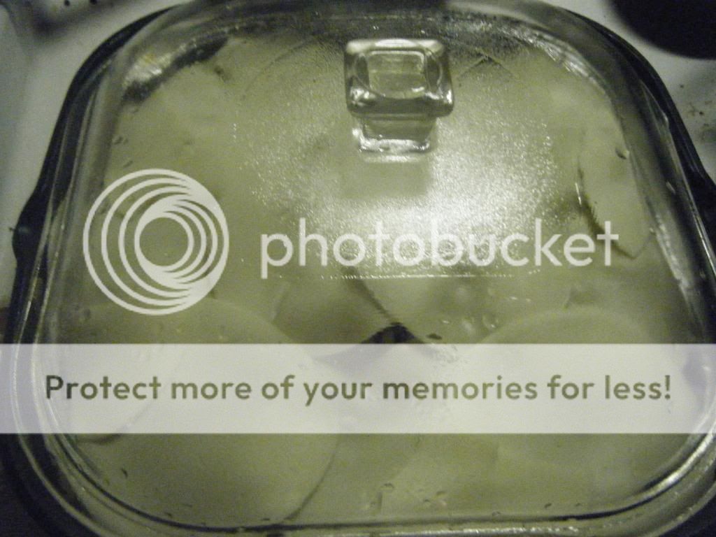 DSCF9953.jpg