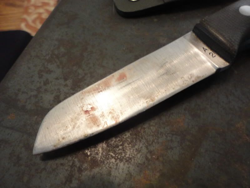 Trout002.jpg