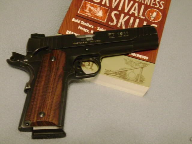fns004.jpg