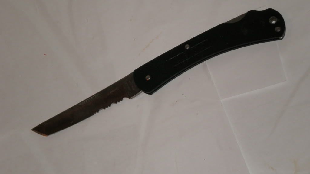 P1010006.jpg