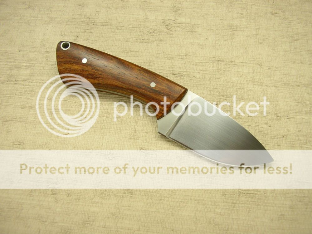 IMGP2179_zpse9c290d1.jpg