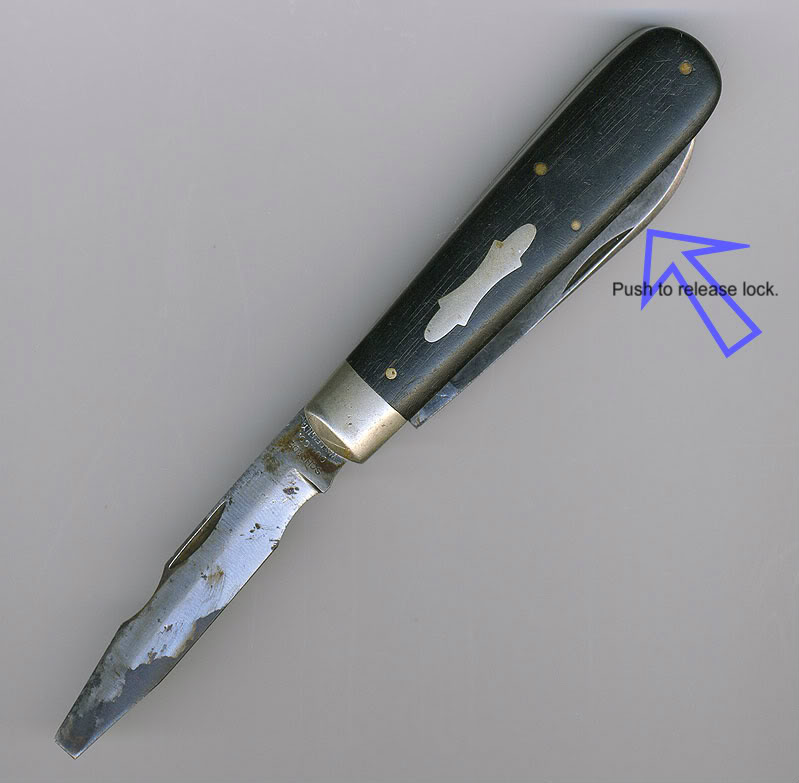 Rc3IMTG.jpg