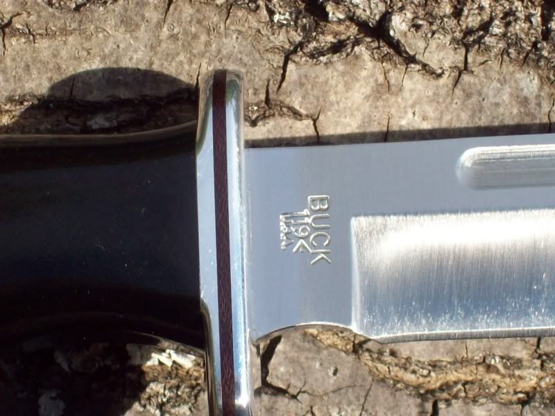 Buck119Markings.jpg