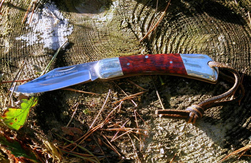 P10100094.JPG