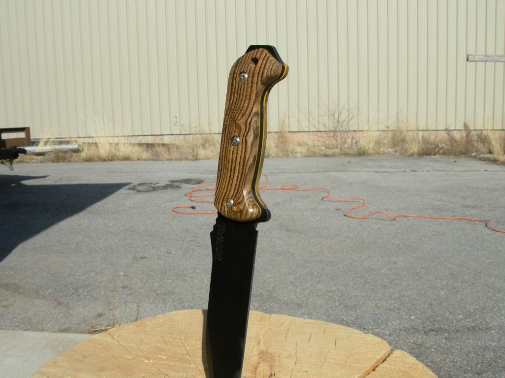 DSCN0232.jpg