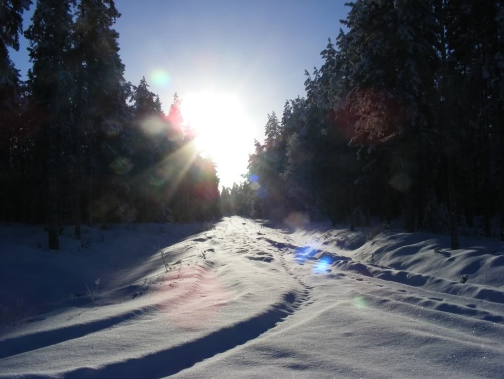 DSCF6772.jpg
