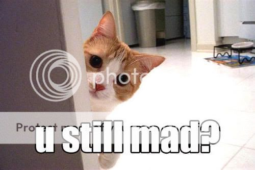 stillmad.jpg
