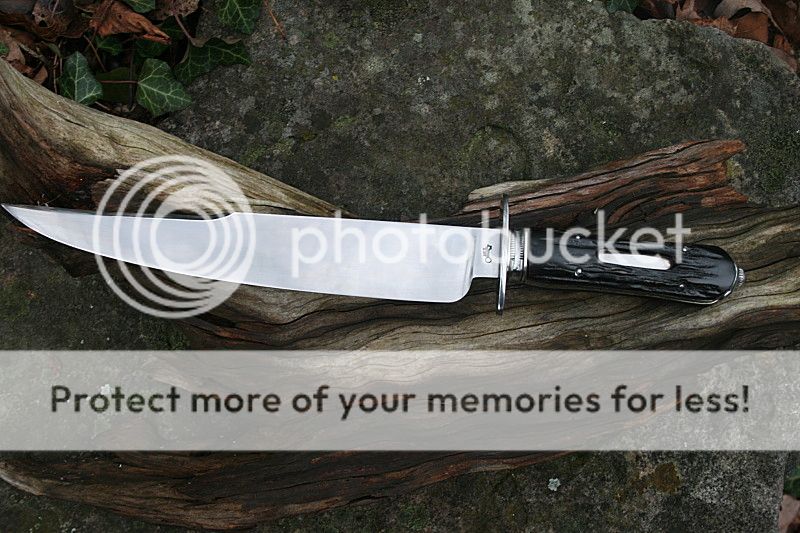 IMG_2170_opt%20164%20kb_zpsohlddwxa.jpg