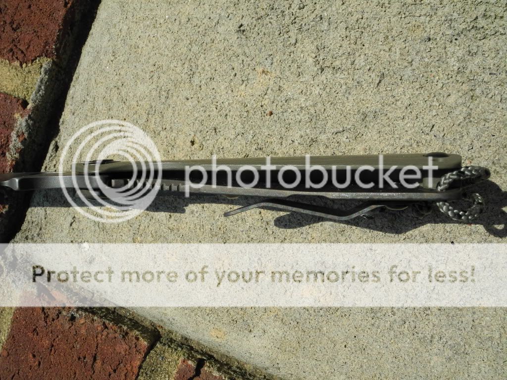 DSCN9973.jpg