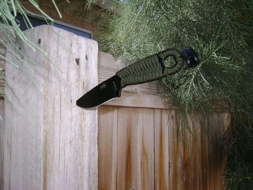 Izula003.jpg