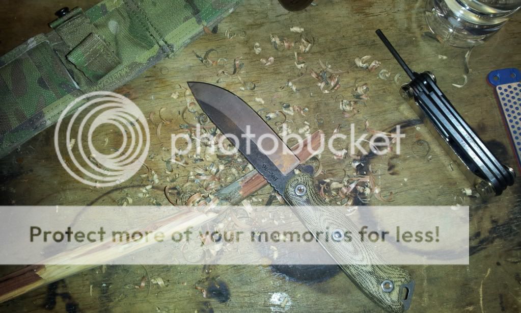 2012-02-15193559.jpg