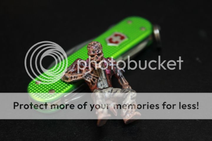IMG_7217_zpsce3ffc78.jpg