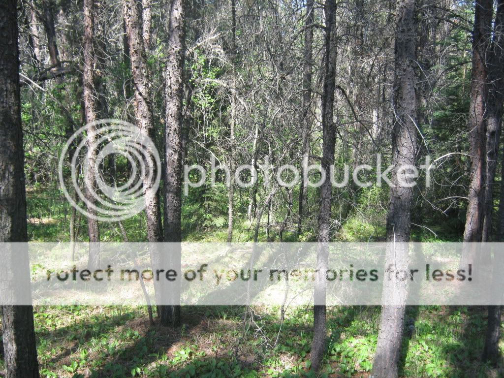 IMG_7549.jpg