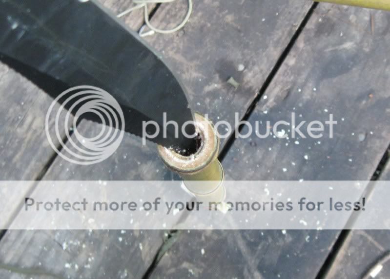 BambooProject-11.jpg