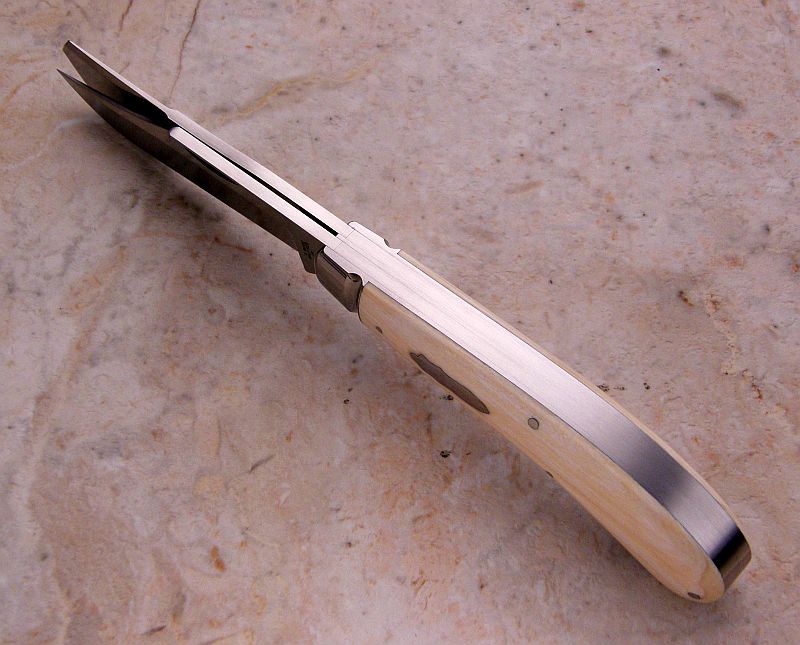 tbose-458ivory2bladesaddlehorn-4.jpg