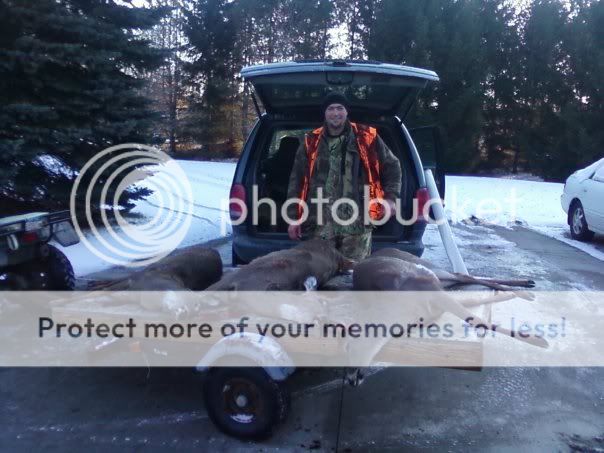 Boogey4slugs3deer.jpg
